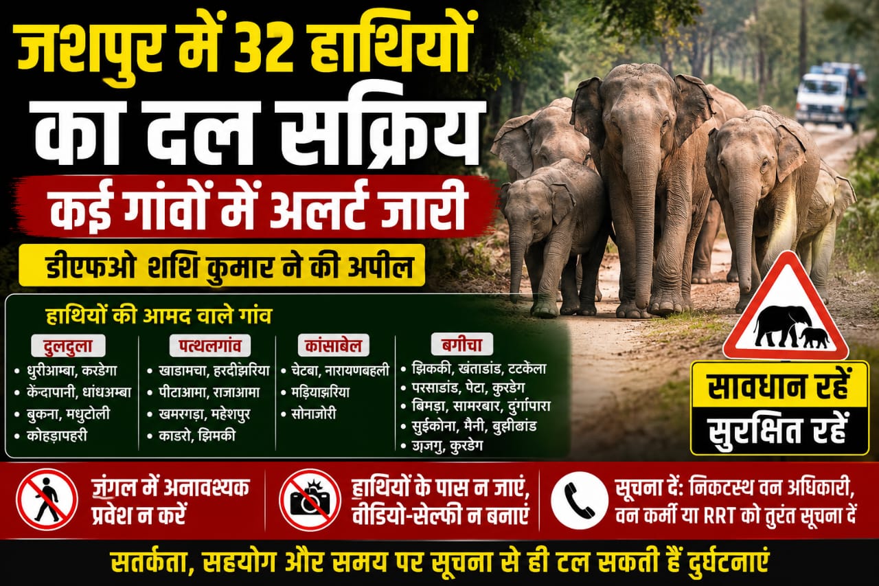 जशपुर के चार वन परिक्षेत्रों में 32 हाथियों का दल सक्रिय, कई गांवों में अलर्ट,डीएफओ ने की ग्रामीणों से सतर्क रहने की अपील
